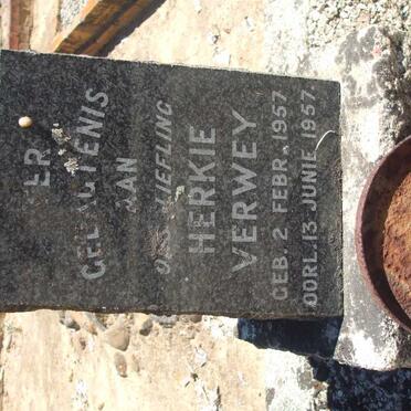 VERWEY Herkie 1957-1957