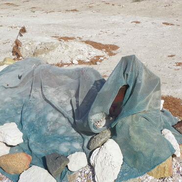 LESLIE Francisko 1940-2013