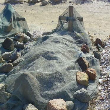 DIEDERICKS Edward 1955-2013