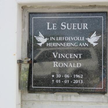 SUEUR Vincent Ronald, le 1962-2013
