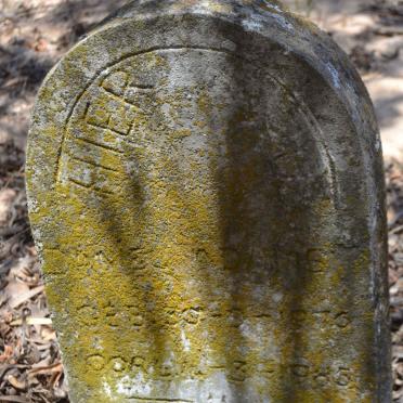 ADAMS Daniel 1??5-1??5