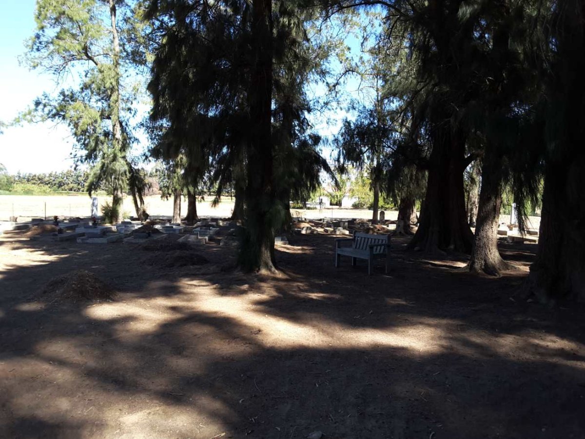 3. Overview / Oorsig