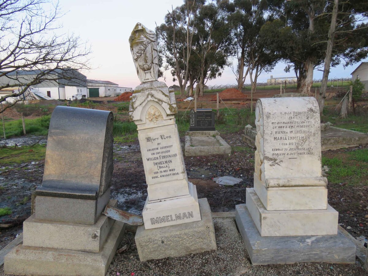 2. Oorsig Immelman grafte