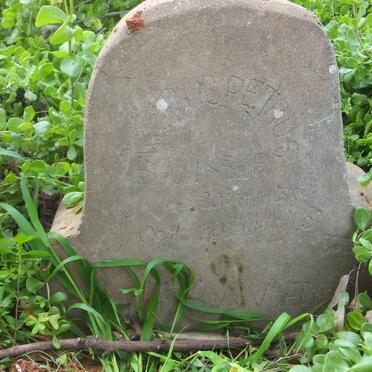 VISSER Jacobus Petrus 18?8-1940