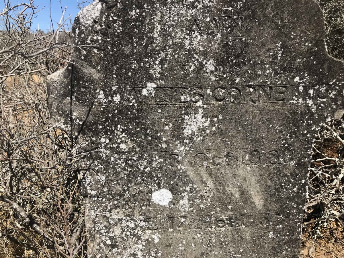 ? Johannes Cornel? 1888-