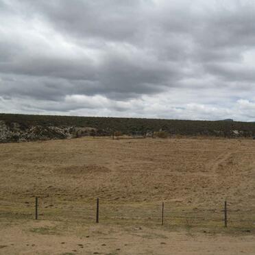 1. Overview on cemetery