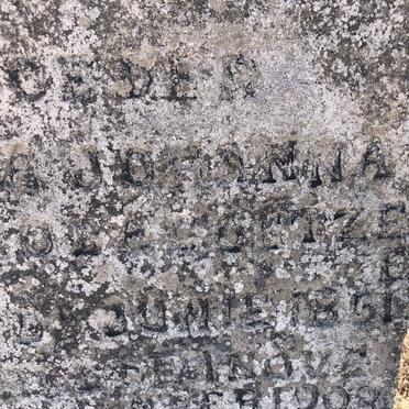 COETZEE Anna Johanna 1861-1908_2