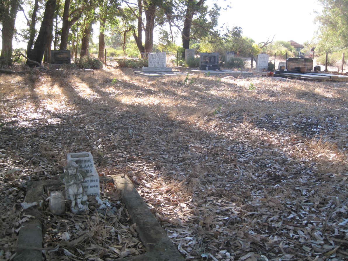 2. Oorsig oor grafte by Papkuilsfontein