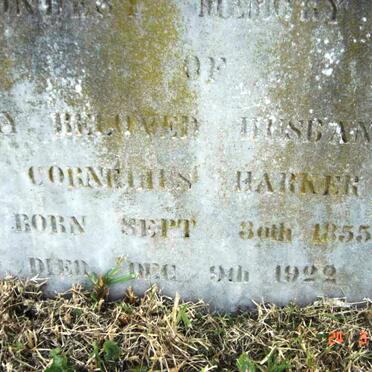 HARKER Cornelius 1855-1922