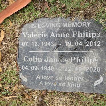 P - Vanne :: Surnames - P