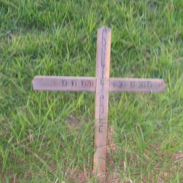 PAULSE Aldorette 1978-200?