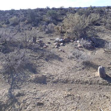 2. Ongemerkte grafte