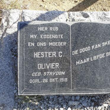 Western Cape, PRINCE ALBERT district, Vrisgewaagd 152_1, Bloukrans, farm cemetery