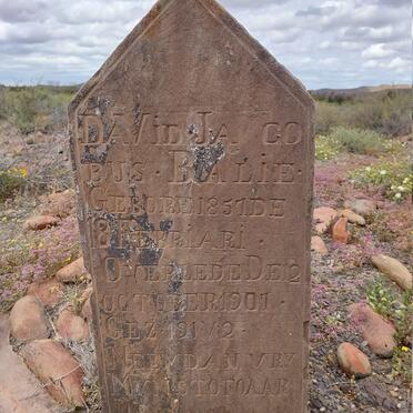 BALIE David Jacobus 1857-1907