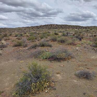 Western Cape, PRINCE ALBERT district, Ratelfontein 74, Jakkalsfontein_2, farm cemetery