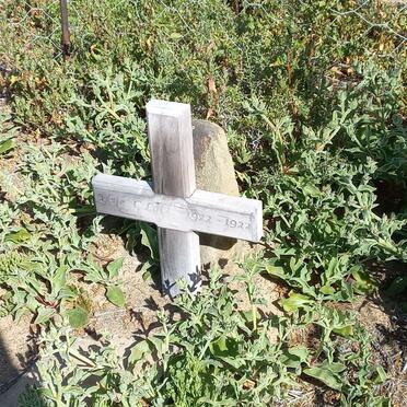 LOTZ Elsie C. 1922-1922