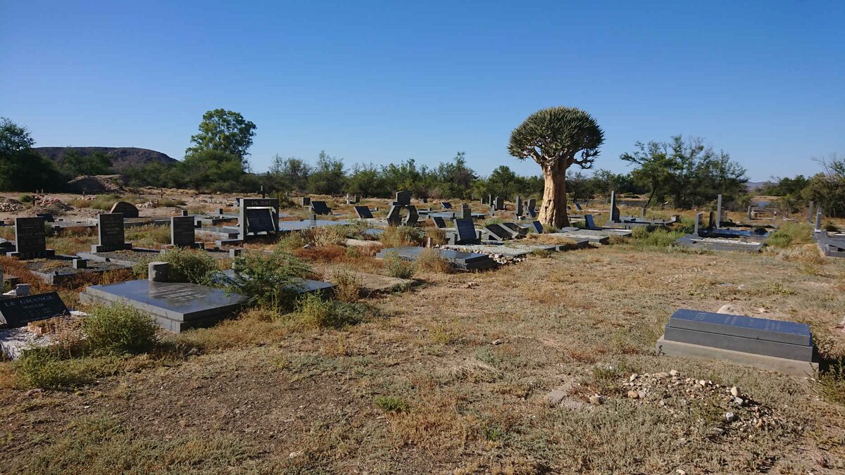 6. Oorsig / Overview