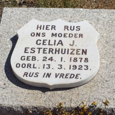 ESTERHUIZEN Celia J. 1878-1923