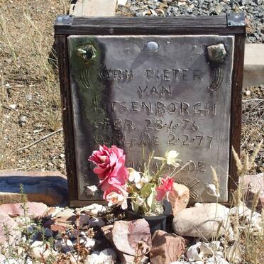 LITSENBORGH Orm Pieter, van 1976-1977