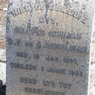 I - Surnames :: Vanne - I