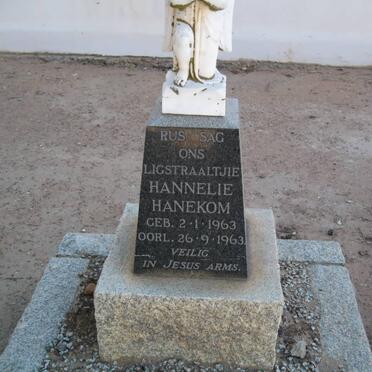 HANEKOM Hannelie 1963-1963
