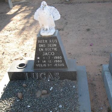 LUCAS Jaco 1980-1980