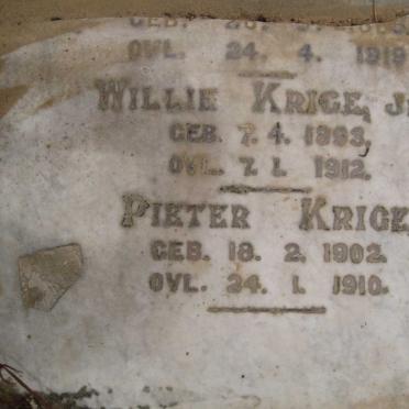 KRIGE Willie 1893-1912 :: KRIGE Pieter 1902-1910