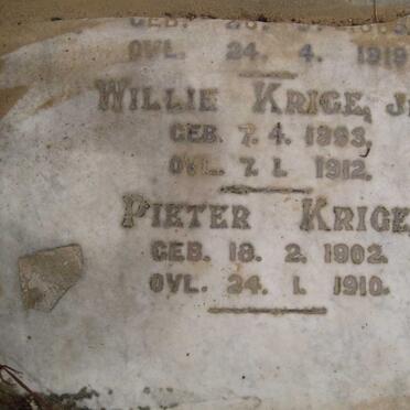 KRIGE Willie 1893-1912 :: KRIGE Pieter 1902-1910