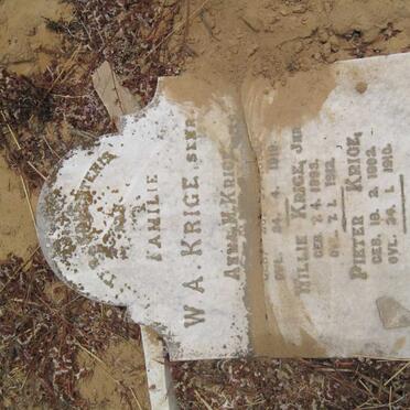 KRIGE W.A &amp; Anna M. 18??-1919 :: Willie 1893-1912 :: Pieter 1902-1910