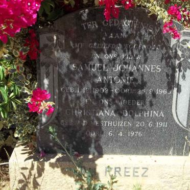 P - Vanne :: Surnames - P