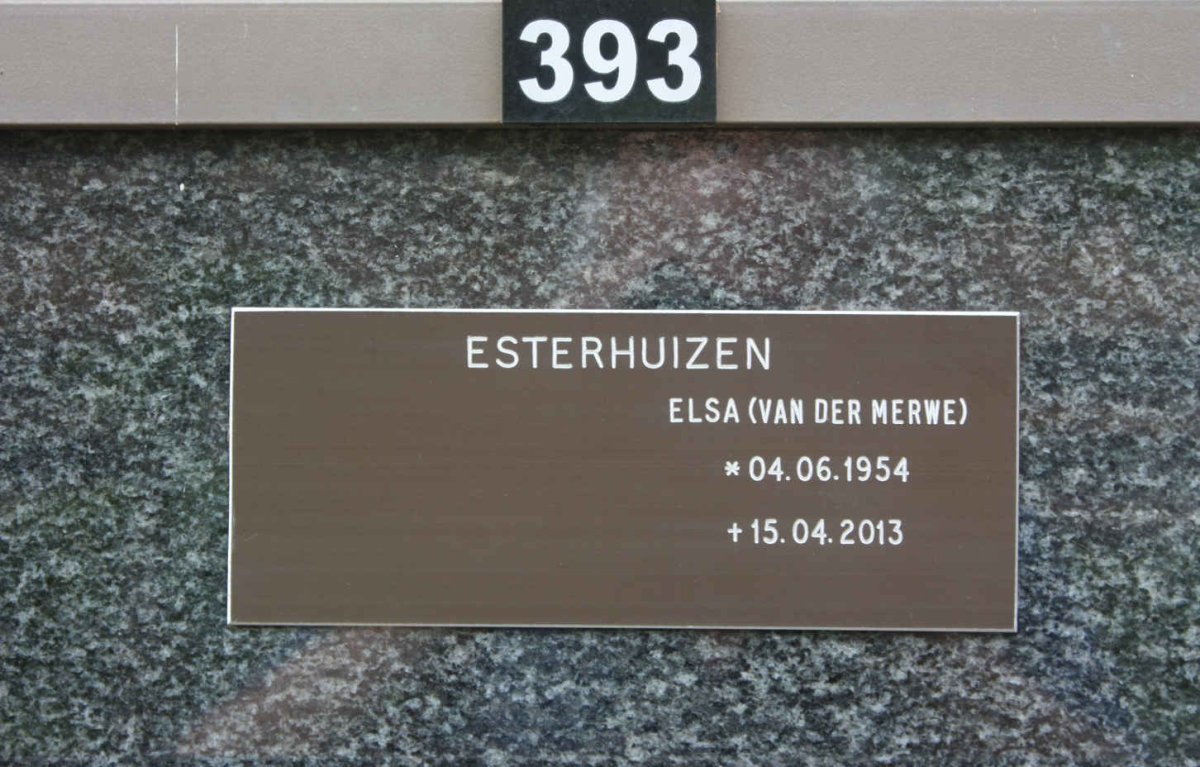 ESTERHUIZEN Elsa nee VAN DER MERWE 1954-2013