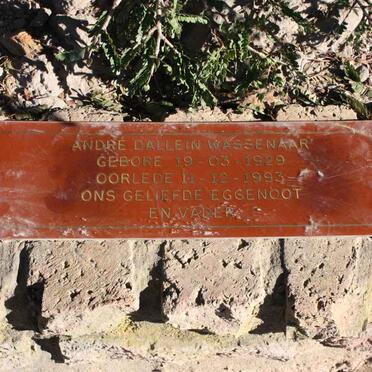 WASSENAAR André Dallein 1929-1993