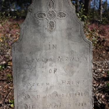 PRINS Joseph 1916-1918