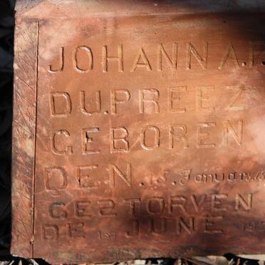 PREEZ Johanna P., du 1875-1920