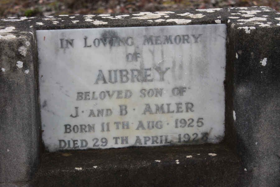 AMLER Aubrey 1925-1928