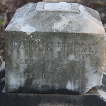 HEESE Paulie 1904-1909