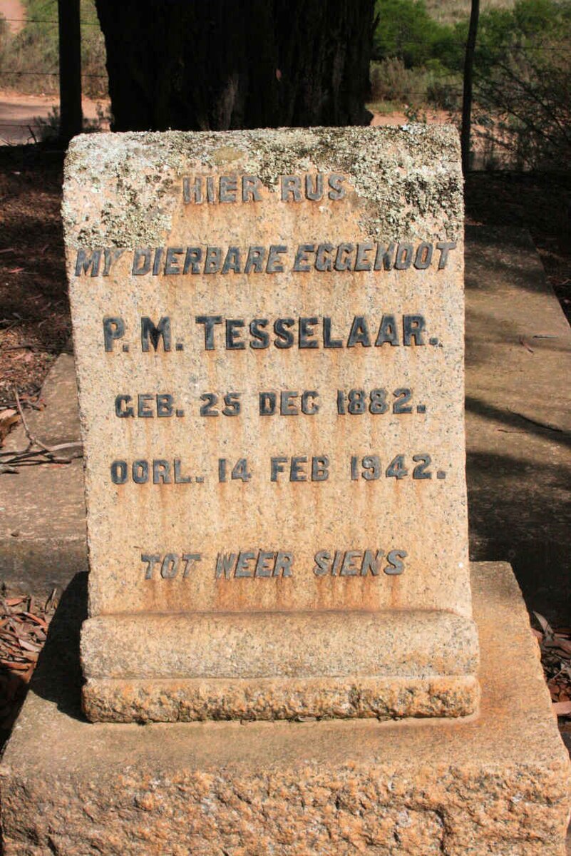 TESSELAAR P.M. 1882-1942