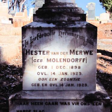 MERWE Hester, van der neé MOLENDORFF 1898-1929 :: VAN DER MERWE Seuntjie 1929-1929