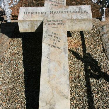 HAUPTFLEISCH Herbert -1920