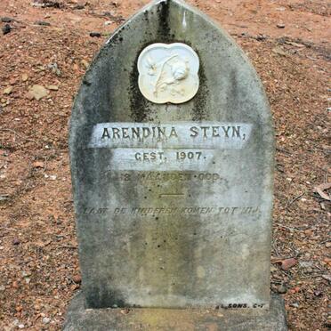 STEYN Arendina -1907