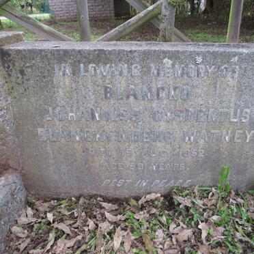 WATNEY Johannes Gysbertus Blanckenberg -1952