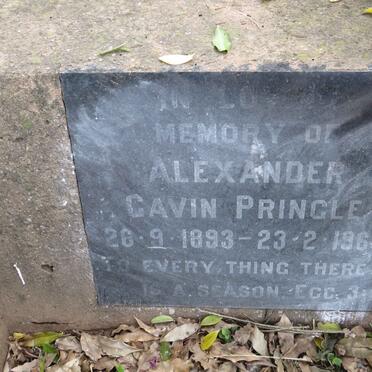 PRINGLE Alexander Gavin 1893-1963
