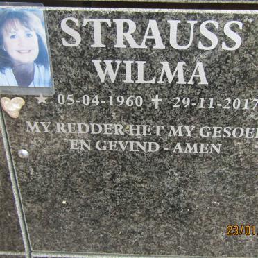 STRAUSS Wilma 1960-2017