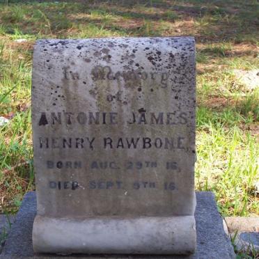 RAWBONE Antonie James Henry 1916-1916