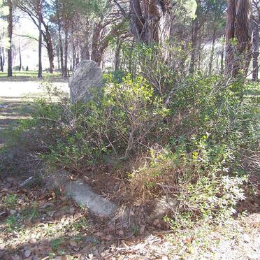 HINDLEY Munnik &amp; Sophia