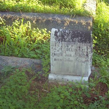 SOLLY Edward Muspratt 1904-1916