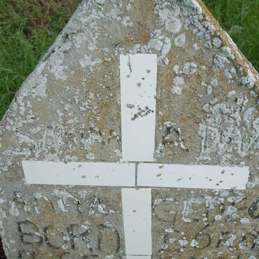 CAROLUS Sanna Anna 1950-1952 :: CAROLUS Adam Gideon 1953-1953