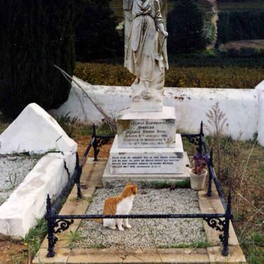 ROUX Henricus Jacobus Storm 1881-1913 