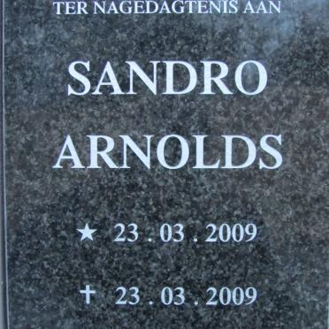 ARNOLDS Sandro 2009-2009