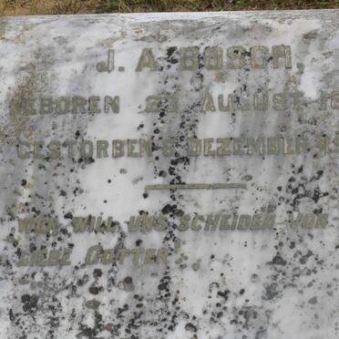 BOSCH J.A. 1853-1919